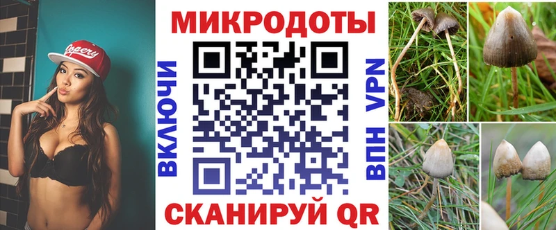 Псилоцибиновые грибы Psilocybe  Купить закладки  Пустошка 